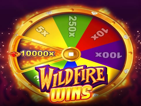 وائلڈ فائر ونز game thumbnail